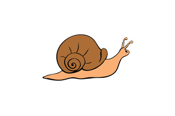 Wall Mural - Vector color cute snail in flat style with spiral shell, side view, isolated. Natural element design, clip art, template