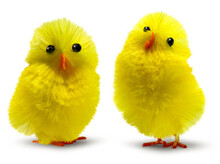 Two Cute, Funny And Flurry Yellow Easter Decoration Chicks Isolated, Minimum Drop Shadow