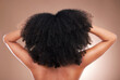 © Mumtaaz D/peopleimages.com - Hair, black woman with afro and beauty, haircare and natural cosmetics, back on studio background. Female, cosmetic treatment with curly hairstyle, rear view and texture, person arms with grooming