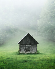 Wall Mural - alone cabin in the woods. high resolution panorama. landscape photography