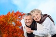 © BillionPhotos.com - old happy couple have fun at park