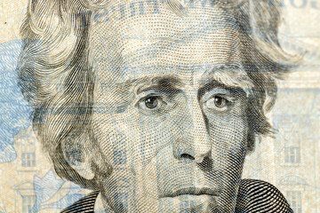 details of the twenty American dollar banknote