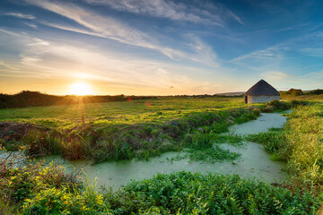 Wall Mural - Sunset over Braunton Marshes