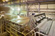 © Jose Luis Stephens - The machinery in a paper mill plant.