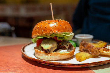 Wall Mural - Organic vegetarian burger with plant based falafel balls, vegan cheese, green lettuce and baked potatoes