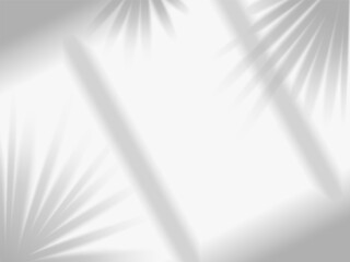 Wall Mural - shadow mockup. sunlight overlay effect from window frames and tropical plant branch, palm tree leave