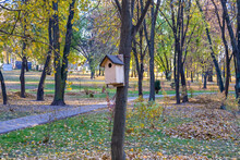 Photography On Theme Empty Hanging Birdhouse To Natural Forest Tree