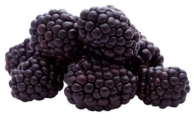 Poster - Fresh blackberries