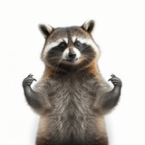Fototapeta Zwierzęta - Funny raccoon. Illustration AI Generative