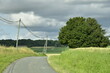Route de campagne près de l'arbre à deux troncs sous un ciel nuageux près du bourg de Champagne au Périgord Vert 