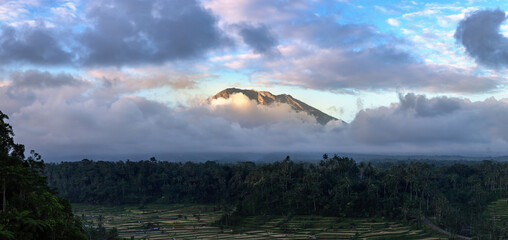 Canvas Print - Rice field and volcano Agung, Bali