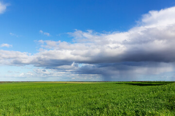 green field and blue cloudy sky