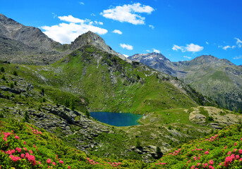 Poster - Mountain lake Lago di Loie in National park Gran Paradiso, Aosta valley, Italy. Summer landscape in the Alps.