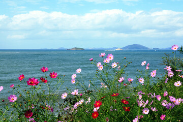 Poster - Cosmos and the Sea