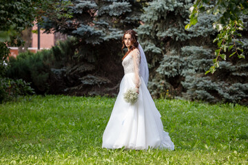 Wall Mural - Girl in a wedding dress in nature.