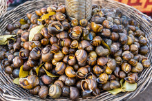 Deep-fried Snails In The Street Market Of Siem Reap