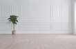 © UnitedPhotoStudio - White classic wall background, brown parquet floor, home furniture detail, frame and vase of plant.