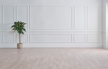 white classic wall background, brown parquet floor, home furniture detail, frame and vase of plant.