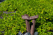 Turtle Nesting Signs And No Camping Allowed, Halape Beach, Hawaii Volcanoes National Park, Hawaii Islands, USA