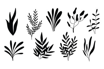 Wall Mural - Algae silhouettes set. Vector illustration. Algae collection. Sea plants.