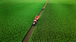Aerial view of tractor working in corn fields. 3d render