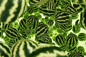 Wall Mural - watermelon closeup background 3d render