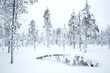 © NaturePL - Coniferous forest in winter snow,  Utsjoki, Finland, February.