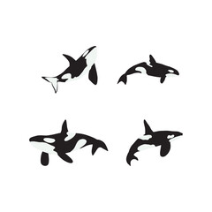 Wall Mural - Orca whales. Sea animal killer whales. Marine animal in Scandinavian style.