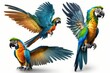 parrots set on white, ai generated