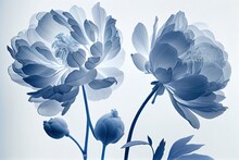 X-ray Of Flowers On The Light And Scan Of A Daisy, Blue Flower, Art Concept Of A Natural Plant. Generative AI