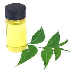 Poster - Medicinal neem leaves with essential oil