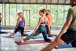 © Flamingo Images - Group of people in gym exercising doing yoga in studio