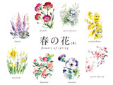 春の花の水彩イラスト8種Bセット／AI画像（ナデシコ・菜の花・ハナミズキ・スイセン・アネモネなど）
