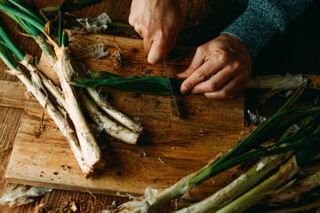 Poster - man cuts some raw calcots typical of catalonia