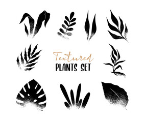 Wall Mural - Textured silhouette set of plants and leaves. Stylish decorative elements for design