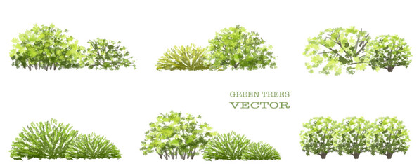 Wall Mural - vector watercolor of tree side view isolated on white background for landscape and architecture draw