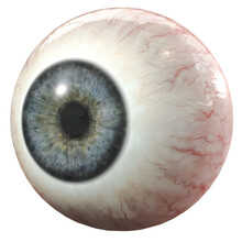 Eye Of The Person 3d