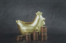 Golden Chicken Bank And Coins Are Lined Up Shown In The Form Of A Graph Isolated On Black Background ,saving Money Concept