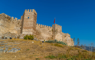 Wall Mural - The Medieval Ottoman Castle in Selcuk, Turkey