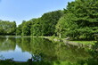 La végétation luxuriante au printemps le long des étangs du Vrijbroekpark à Malines 