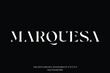 © Asenbayu - Elegant abstract stencil type font vector