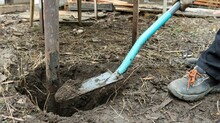 Digging An Old Metal Post Out Of Rocky Ground With A Blue-handled Shovel, Digging An Earthen Hole To Pull A Post Out Of The Soil, Or To Set Up A Post In A Garden Or Yard