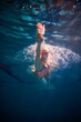 © master1305 - Depth. Dynamic shot of professional female swimmer training in swimming pool indoor. Developing speed. Underwater view. Concept of sport, endurance, competition, energy, healthy lifestyle