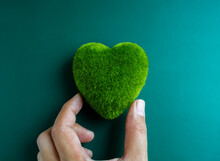 Green Heart Ball Holding By Hand, Close Up. Green Grass Heart Shape, Green Love. Environment And Sustainable Planet Protection, Eco-friendly, Love Nature, World Care, And Happy Earth Day Concept.