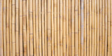 Fototapeta Sypialnia - Yellow bamboo texture. Dried bamboo wall or fence background