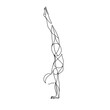Yoga pose line drawing, asana, handstand