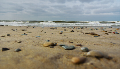 Wall Mural - Baltic sea coast.