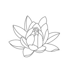 Wall Mural - Vector isolated one single water lilly nenuphar flower blossom bud with petals  colorless black and white contour line easy drawing
