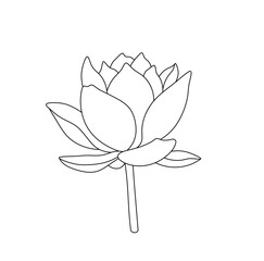 Wall Mural - Vector isolated one single water lilly nenuphar flower blossom bud with petals  colorless black and white contour line easy drawing
