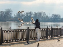 A Girl Feeds Seagulls On The Embankment On A Winter Sunny Day